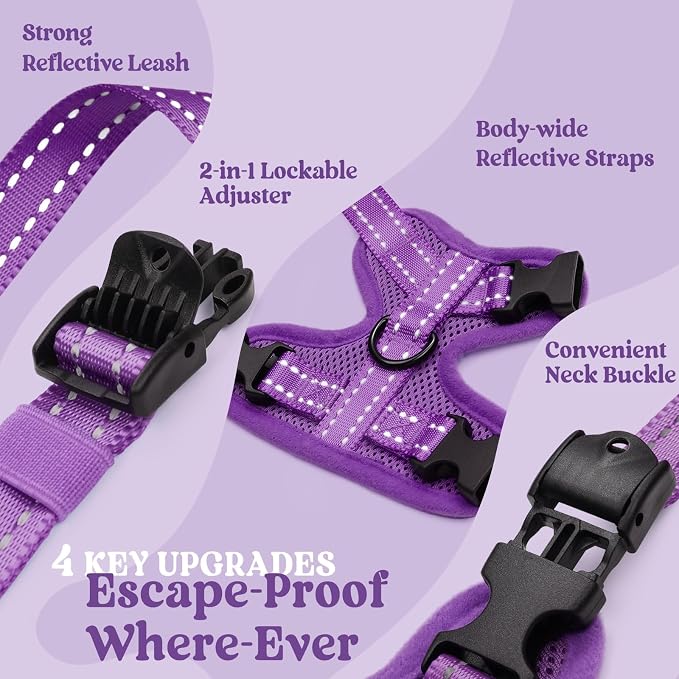 rabbitgoo Cat Harness and Leash, Easy-on with Neck Buckle, Purple