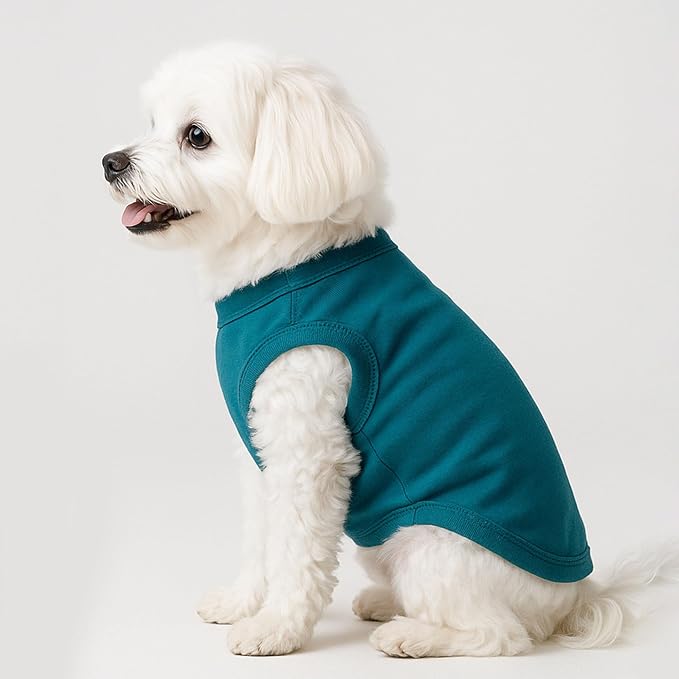 2 Pieces Chihuahua Clothes Dog Clothes for Small Dogs Girl Boy Spring Summer Puppy Soft Dog Shirt Solid Color Pet Clothing Cute Cat Cloth XXS~M (X-Small)