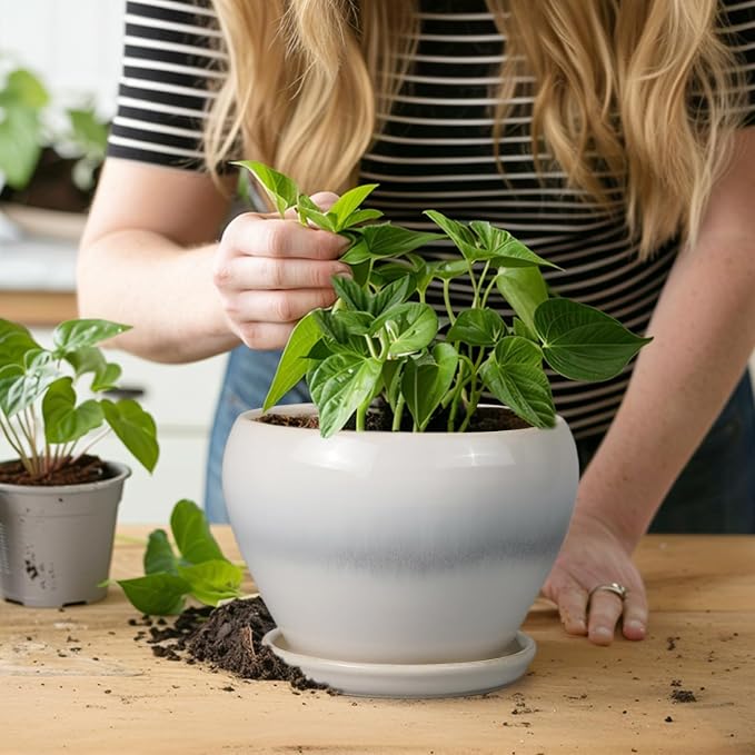 Ceramicfor Planter Pot 6 Inch - Ceramic Plant Pot with Drainage Hole and Saucer, Round Glaze Succulent Pot for Plants, White