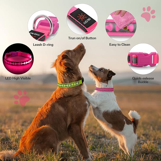 Flashseen LED Dog Collar Light Up USB-C Rechargeable (Pink, Large)