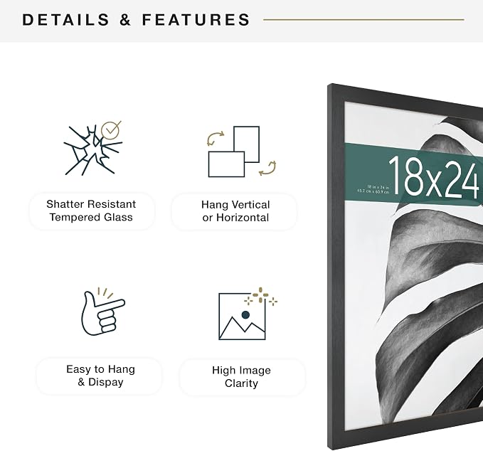 MCS Studio Gallery 18x24 Poster Frame Black Woodgrain Engineered Wood, Vertical & Horizontal Wall Hanging Large Picture Frame for Photos, Posters & Art Prints (2-Pack)