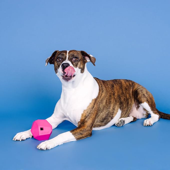 Fringe Studio "Having A Ball HOT Pink Rubber Dog Toy, Pet Shop Collection (518020)