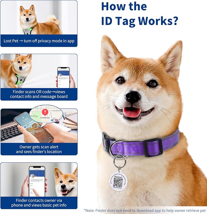 Personalized Dog Collar with QR Code Tag, Extra Small, Puple | Reflective Dog Collar for Girl Dogs, Quick Release Buckle, Adjustable and Comfortable Nylon Pet Collar