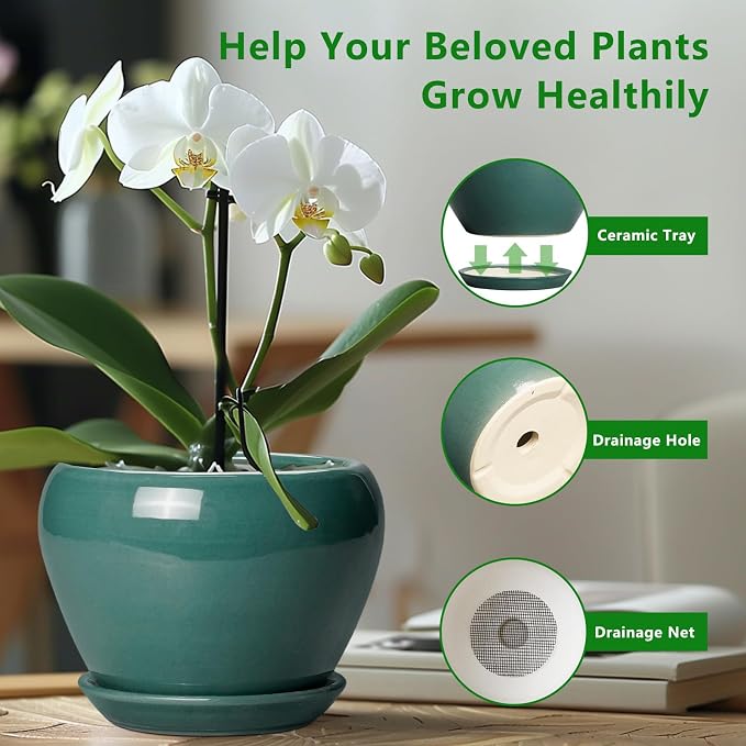 Ceramicfor Indoor Plant Pot 6 Inch - Ceramic Planter with Drainage Hole and Saucer, Modern Decorative Indoor Planter for Herb Succulent Plants, Garden Home Decor, Gifts for Plant Lovers, Green