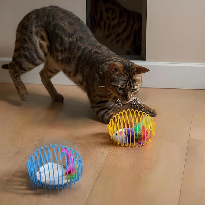 Jecery 5 Pcs Cat Toys Spring,Cute Mouse,Bright Color