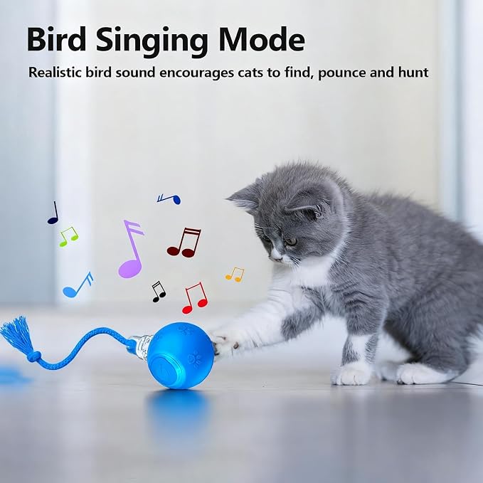 Speed 2.0 Tail Interactive Cat Toys, Rechargeable Ball for Indoor Cats
