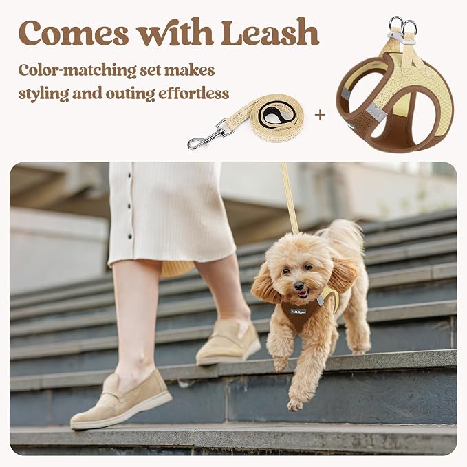 rabbitgoo Dog Harness Small Sized and Leash Set, Step-in Puppy Pet Vest | Light, Soft, Breathable Air Mesh, Easy on and Remove with Hook & Loop, Secure Reflective for Walking, Brown & Beige XS