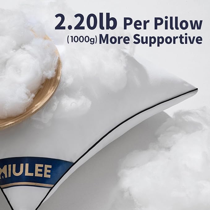 MIULEE 22x22 Pillow Inserts 2 Pack, Premium Down Alternative Throw Pillows | Down Alternative Pillow Inserts, Decorative Pillow Stuffer for Sofa, Couch (22x22 inch, Set of 2)