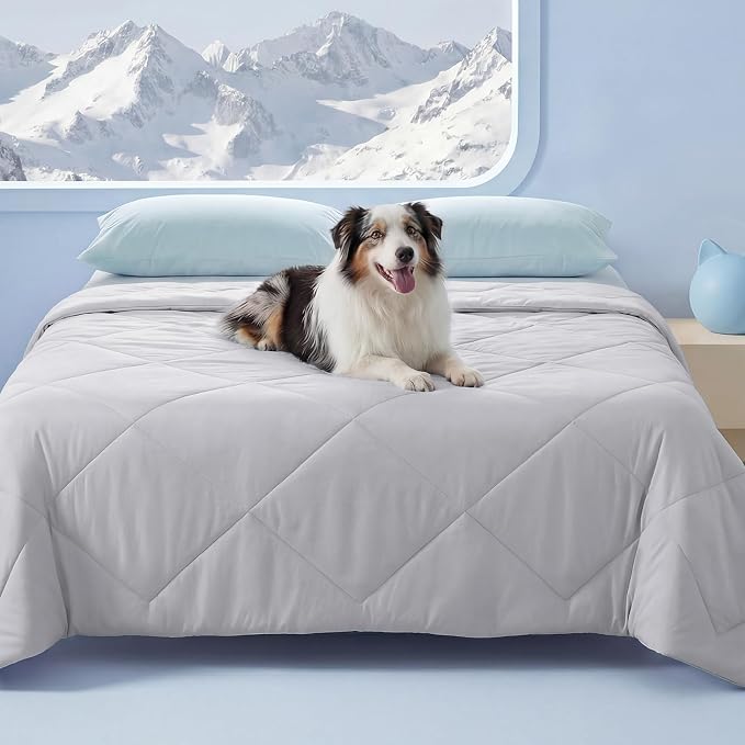 Luciphia Silky Cooling Dog Blanket Q-MAX>0.4 Throw Cat Mat Light Grey,60x80 | Pet calming summer self-cooling breathble puppy cat bed; machine wash cold; protects furniture from pet hair and claws.