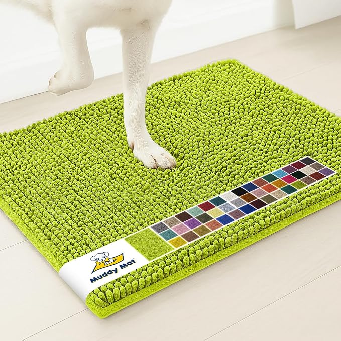 Muddy Mat® | Super Water Absorbent Door Mat Indoor, Microfiber Quick Dry Chenille Entryway Rug,Slip Resistant Front Door Mat,Indoor Mats for Entryway,Machine Washable Pet Rug, Spring Green 18" x 28"