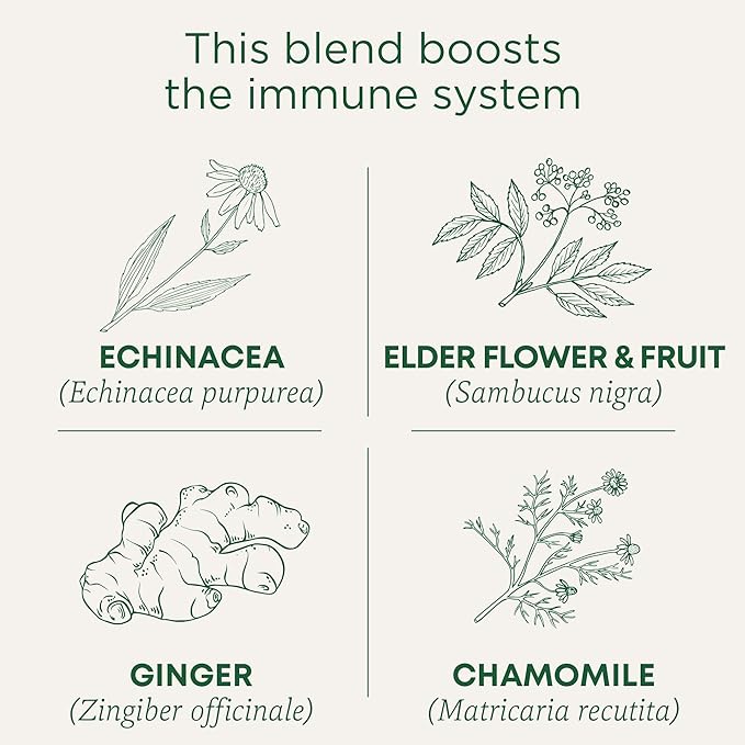 Traditional Medicinals Tea, Organic Echinacea Plus Elderberry, Boosts the Immune System, 16 Tea Bags (Pack of 2)