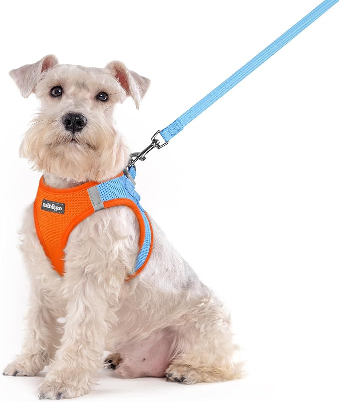 rabbitgoo Dog Harness Medium Sized and Leash Set, Step-in Puppy Pet Vest | Light, Soft, Breathable Air Mesh, Easy on and Remove with Hook & Loop, Secure Reflective for Walking, Blue & Orange XXL