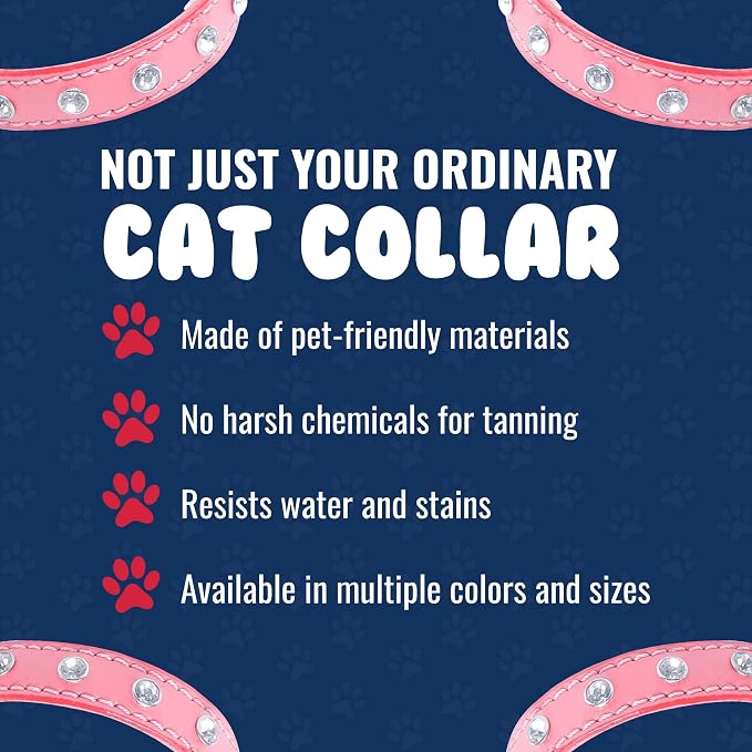 Athens Cat Collar, Leather Kitten Collar w/Rhinestones, Sturdy Breakaway Cat Collar with Bell & Elastic Stretch, Cat Accessories, Bubblegum Pink, 10 x ½ inches - Angel Pet Supplies