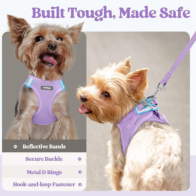 rabbitgoo Dog Harness Medium Sized and Leash Set, Step-in Puppy Pet Vest | Light, Soft, Breathable Air Mesh, Easy on and Remove with Hook & Loop, Secure Reflective for Walking, Light Purple XXL