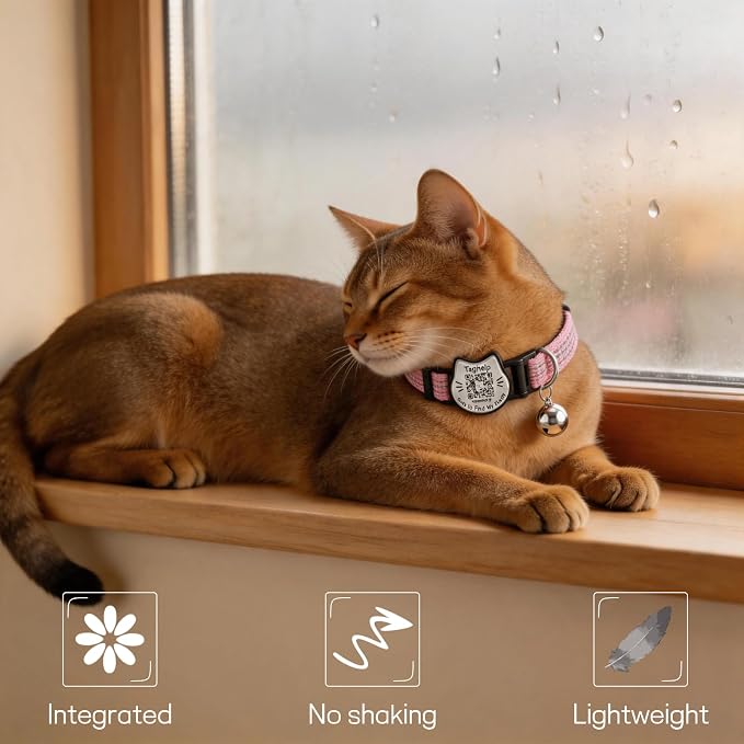 Breakaway Cat Collar with QR Code Tag and Bell (Pink & Purple) | Reflective Nylon, Quick-Release Buckle