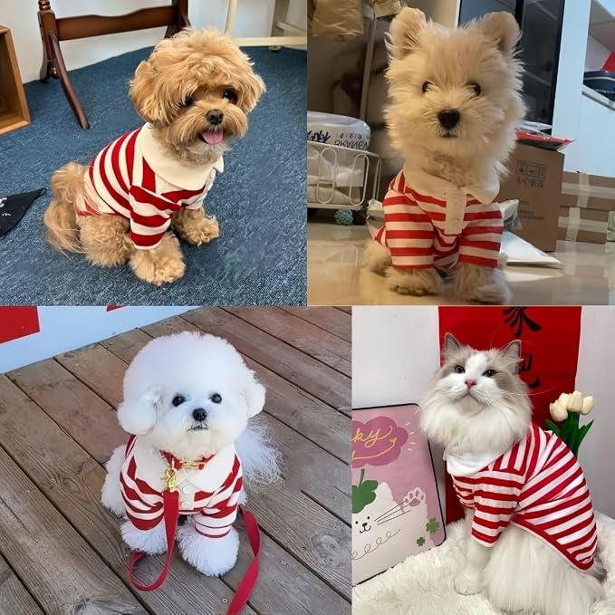 MANON ROSA Boy Dog Polo Shirt for Small Dogs, Red, S, 3.3-5.5 lb | Cute Puppy Clothes With Classic Stripes, Soft Breathable Pet Apparel For Yorkies, Shih Tzus And Everyday Summer Wear