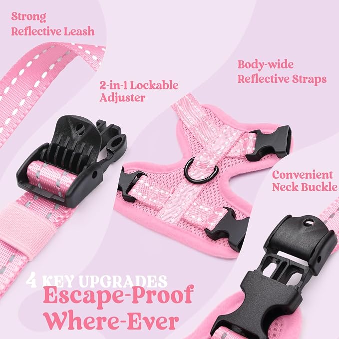 rabbitgoo Cat Harness and Leash, Easy-on with Neck Buckle, Pink
