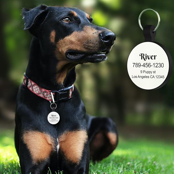 MYLUCKYTAG Silent Silicone QR Code Pet ID | Personalized Dog & Cat Collar Tag | Online Profile with Scanned Location Alert Email