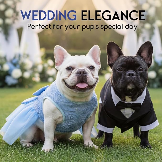 ASENKU Dog Dress Pet Wedding Dress Puppy Birthday Party Outfit, Blue M | Dog Flower Girl Dress With Leash Hole, Princess Puppy Dress For Weddings, Daily Wear, Fits Small Medium Large Dogs Cats