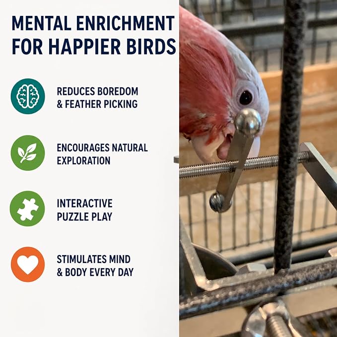 Bird Toys for Large Birds (Spinner) Stainless Steel Bird Toy with Traveling Spinner | Macaw Toys | Durable Puzzle Enrichment Toy for Medium to Large Birds Cockatoos Parrots | Bird Cage Accessories