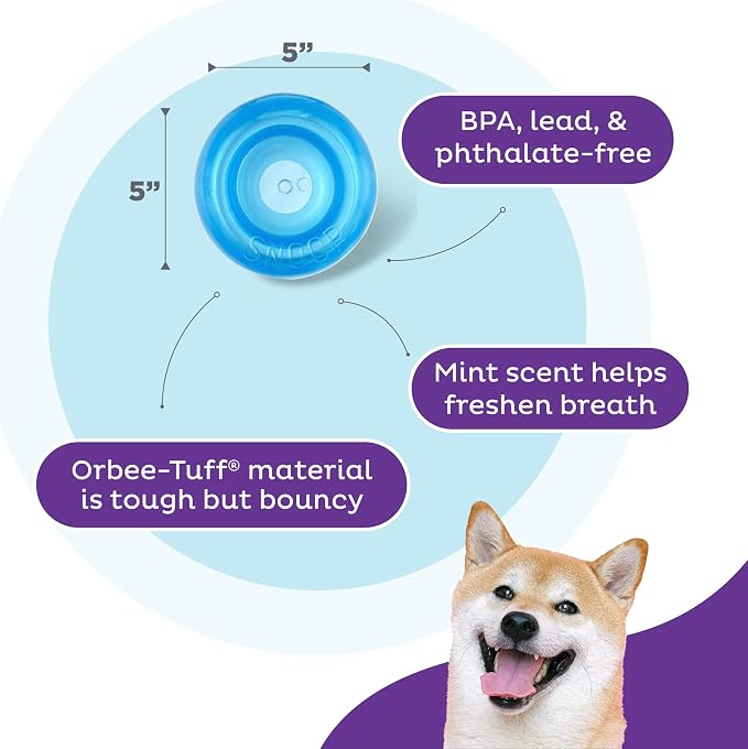Outward Hound Snoop Interactive Treat Dispensing Dog Toy, Blue, 5" | Rolls & Bounces, Treat Stuffer, Puzzle Ball & Slow Feeder, Enrichment, Mint Scented, Easy Clean, No BPA, Medium to Large Dogs