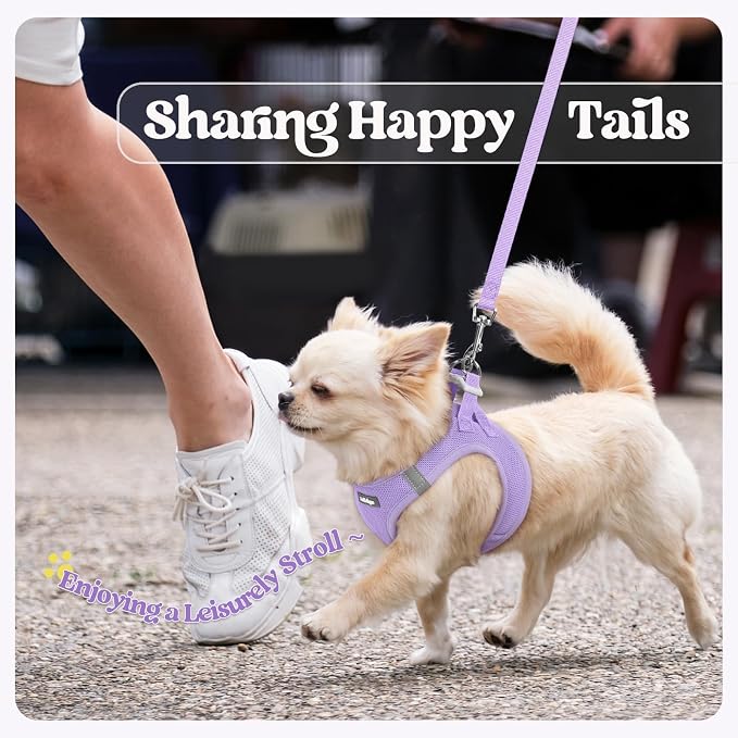 rabbitgoo Dog Harness Small Sized and Leash Set, Step-in Puppy Pet Vest | Light, Soft, Breathable Air Mesh, Easy on and Remove with Hook & Loop, Secure Reflective for Walking, Light Purple M