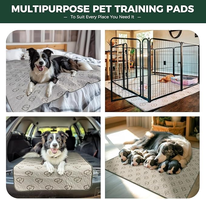 FXW Washable Pee Pads for Dogs, Super Absorbent, 63" Square, 2 Packs | Machine washable, Non-slip backing, Fits 24"H 8-Panel FXW Rollick/Homeplus Playpens