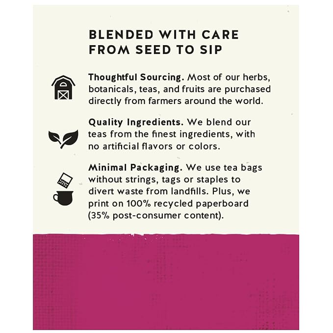 Celestial Seasonings Sleepytime Wellness Echinacea Immune Boost, Caffeine Free, 20 Tea Bags Box (Pack of 2)