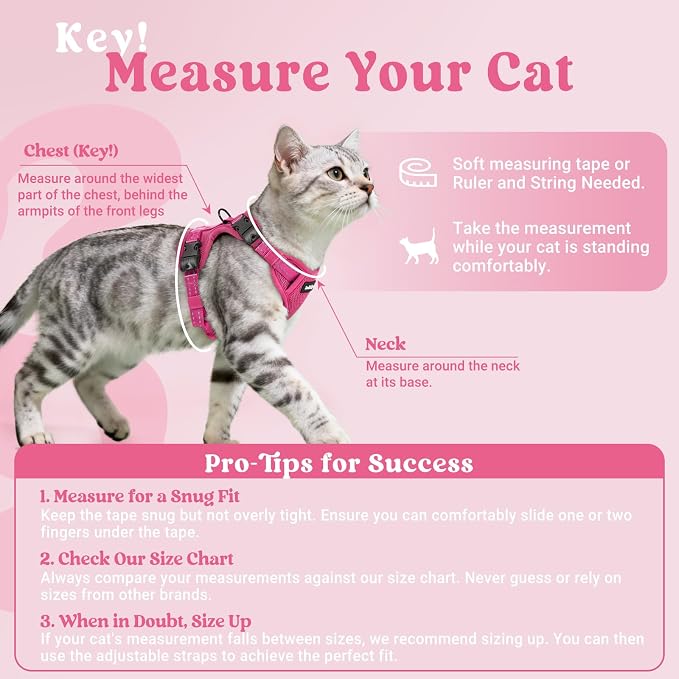 rabbitgoo Cat Harness and Leash Set, Easy-on with Neck Buckle, Rose Red