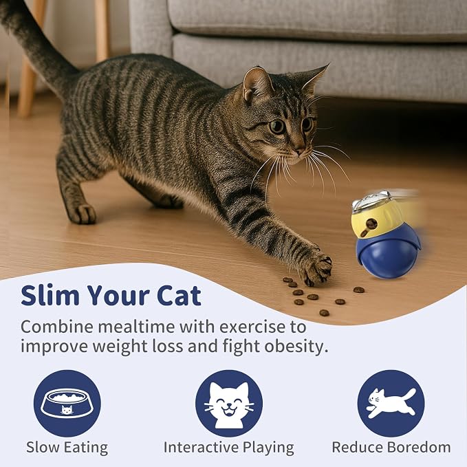 Interactive Cat Toy for Indoor Cats Treat Puzzle Feeder Dispenser