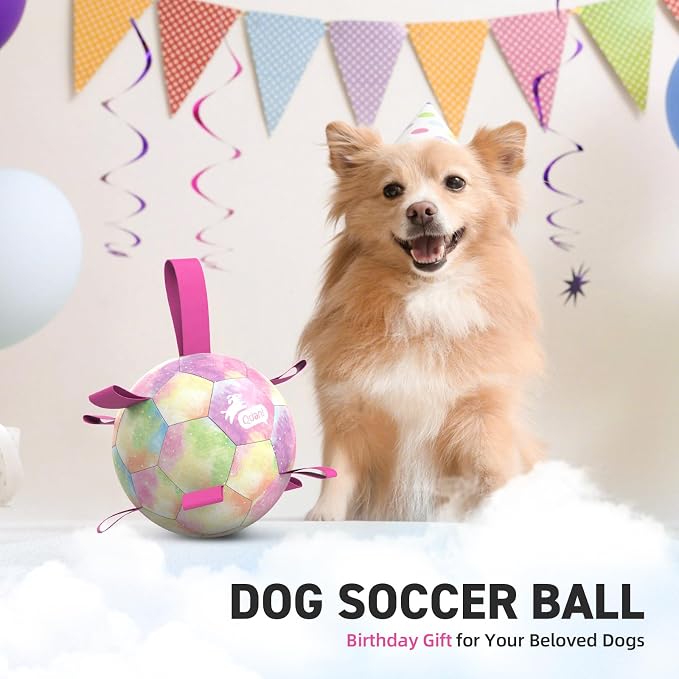 QDAN Dog Balls, Dog Soccer Ball with Straps,Puppy Girl Dog Toys, 6 Inch