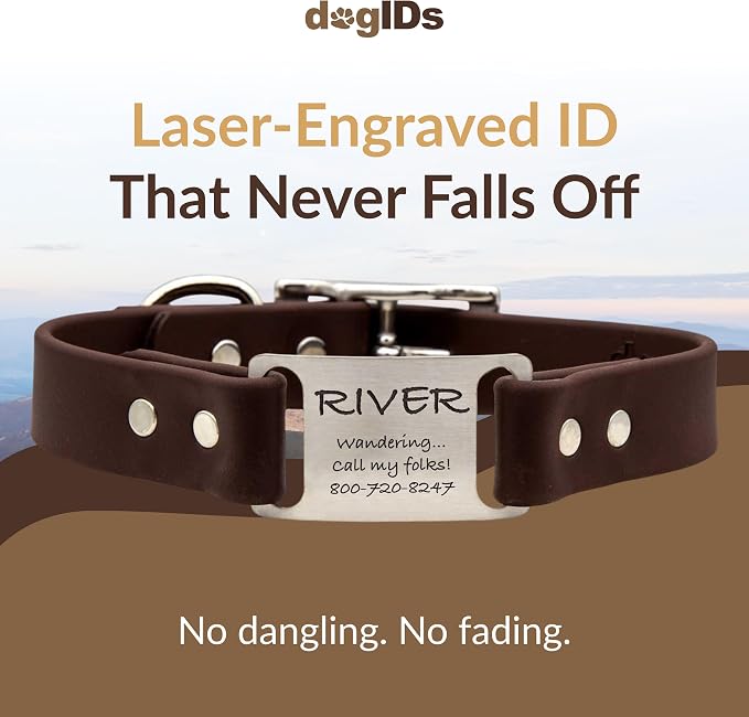 dogIDs Personalized Dog Collar – ScruffTag Custom Waterproof Biothane Dog Collar with Laser-Engraved Name, Durable & Odor-Resistant – USA Made | Brown, 1 in x 18 in (Fits Neck Sizes 16-20 in)