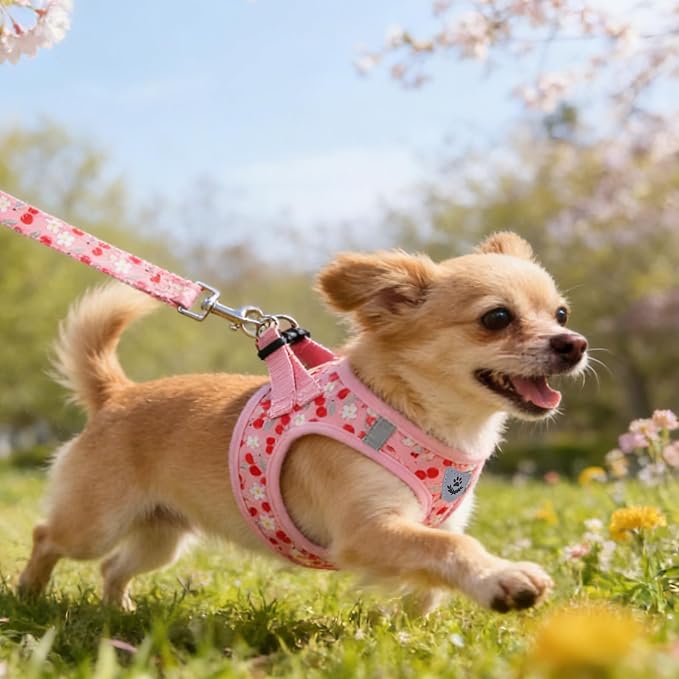 KOOLTAIL Dog Harness for Small Medium Dogs,Dog Harness and Leash Set, Step in No Pull Soft Mesh Padded Adjustable and Reflective Pet Vest Harness Puppy, Plaid Extra Harness for XS S Dogs,Pink Cherry,S