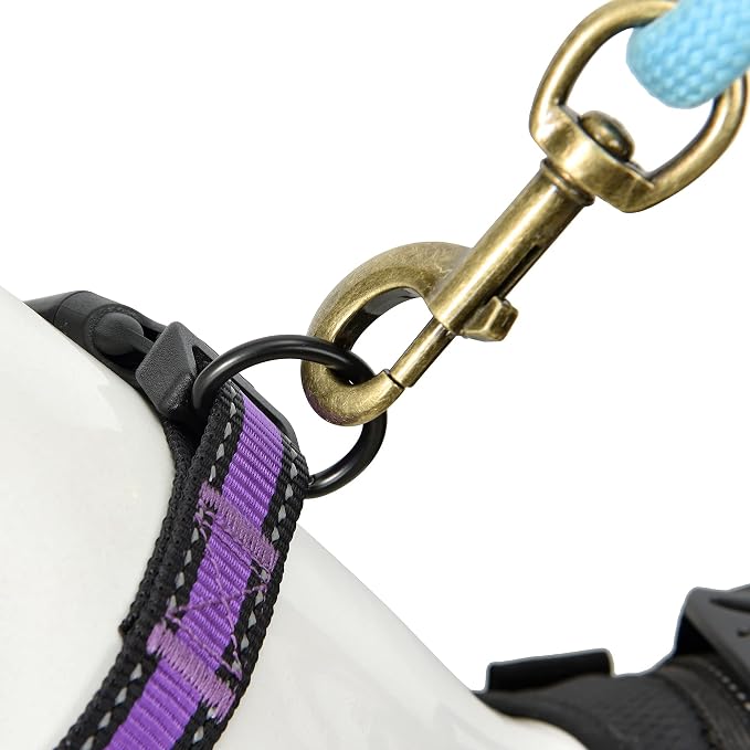 Mile High Life Reflective Dog Collar, Adjustable Lightweight Quick Release