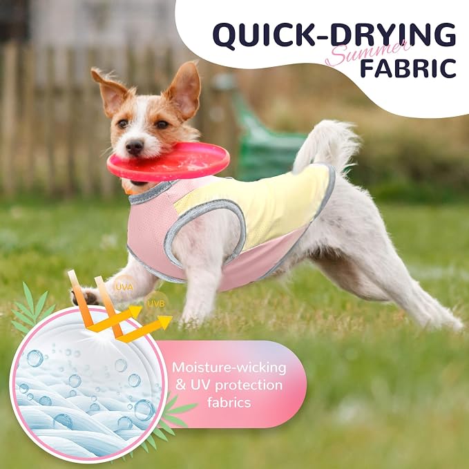 Dog Cooling Vest with D-Ring Dog Tshirt Sun Protection Small Puppy Clothes for Girls Boys Stretchy Shirts for Dogs Lightweight Breathable Shirt French Bulldog Frenchie Dachshund Clothes