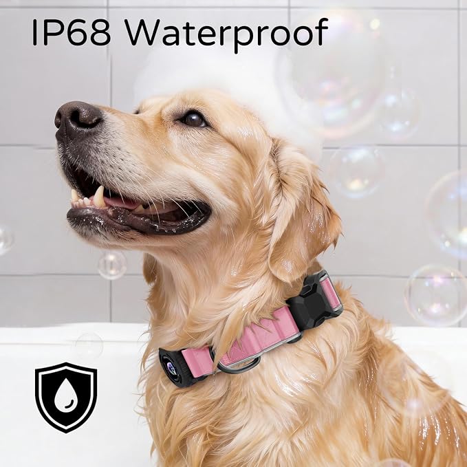 Leather AirTag Dog Collar, Magnetic Buckle, Reflective, Pink S