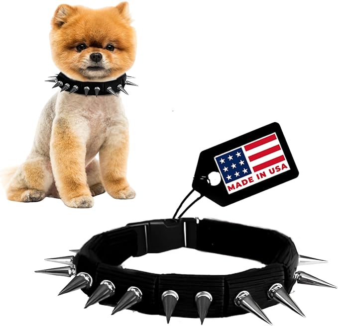 CoyoteCollar Spike Dog Collar, Adj/Replaceable Spikes, Large, Black