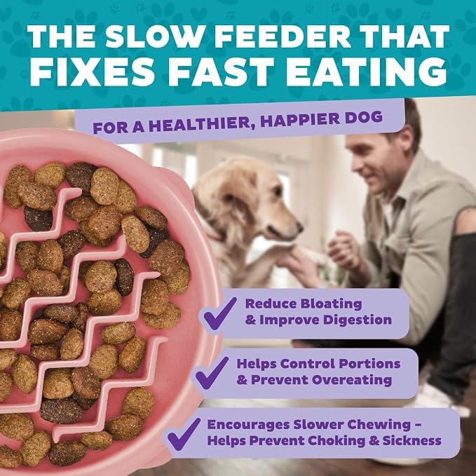 Outward Hound Fun Feeder Slo Bowl – Small 3/4-Cup Capacity,Slow Feeding,Small Dogs,Puppies & Cats,Non-Slip,Pink,Wave Pattern,(Pack of 12)