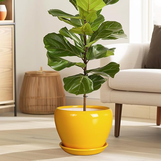 Ceramicfor 8 Inch Plant Pot - Glaze Modern Round Ceramic Planter for Indoor Outdoor Plants with Drainage Hole and Saucer for Home Patio Room Office Decor, Yellow