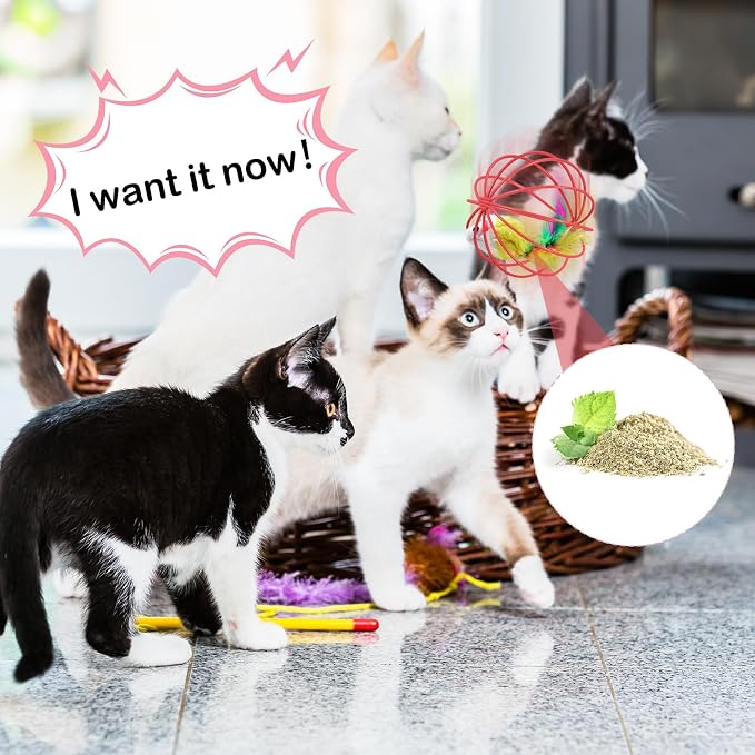 Jecery 5 Pcs Cat Toys Spring,Metal Cage,Multicolor