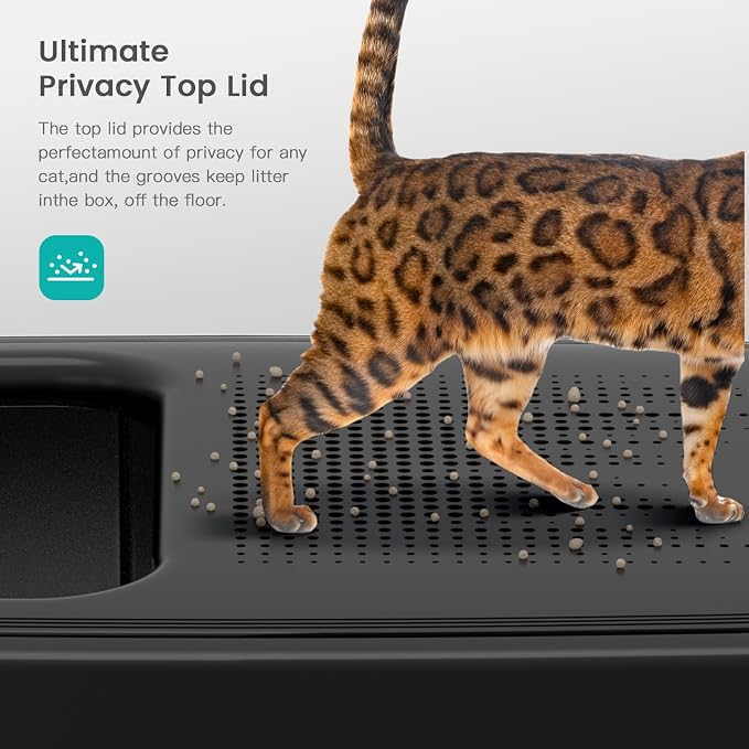 XL Stainless Steel Cat Litter Box with Lid, Top Entry, Mat & Scoop Included | XL for Big Cats, High Sides Enclosed Design, Anti-Urine Leakage, Non-Stick Odor-Free, Easy Clean, Reduce Litter Tracking