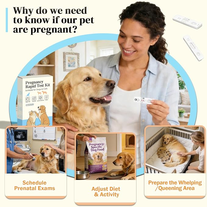 1-Pack Dog & Cat Pregnancy Test Kit – Accurate Blood Test for Early Reproductive Detection, Fast Home Results, Safe Health Monitoring for Pets & Vet Use