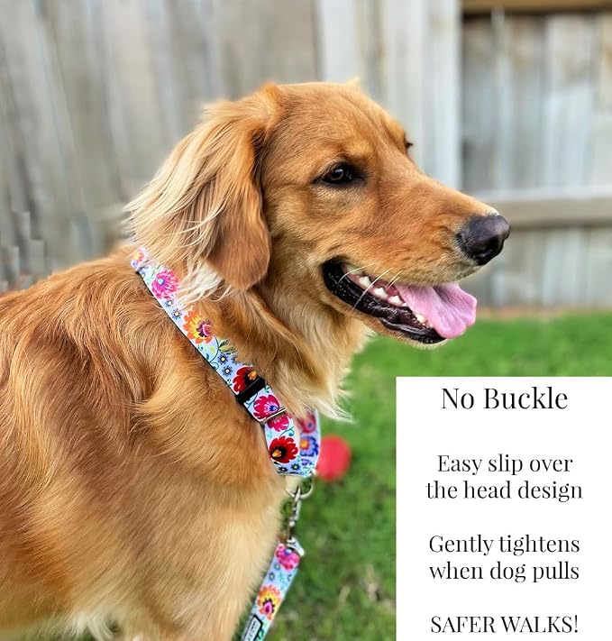 Lucky Love Dog Martingale Collar & Leash Set No Slip – Ladybird, Medium