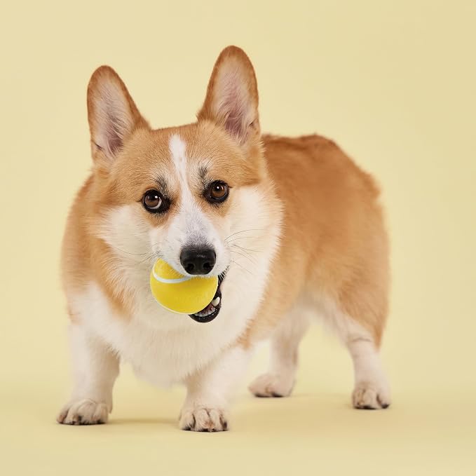 Playology Squeaky Chew Ball Dog Toy - Medium, Chicken Scent, 2-Pack
