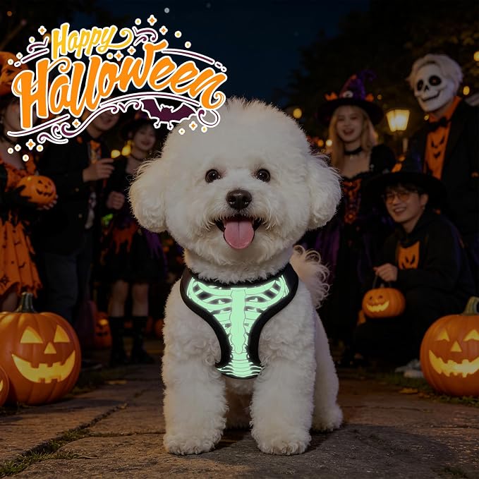 KOOLTAIL Halloween Dog Harness and Leash Set for Small Medium Dogs,Step in No Pull Soft Mesh Comfort Padded Pet Vest Harness,Glow-in-Dark Skeleton Design Easy Walking Puppy&Cat Harness for Holiday S