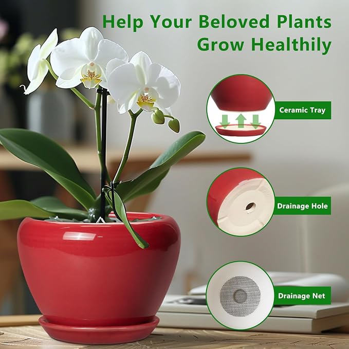Ceramicfor 6 Inch Plant Pot - Glaze Modern Ceramic Planter for Indoor Plants, Succulent Pot with Drainage Hole and Saucer, Office Garden Home Decor, Housewarming Gift, Red