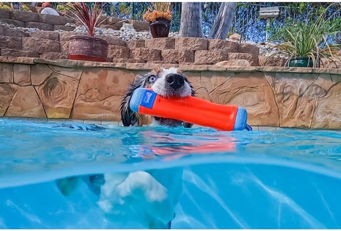 Chuckit! Amphibious Bumper Fetch and Float Toy 2 Sizes Assorted Colors