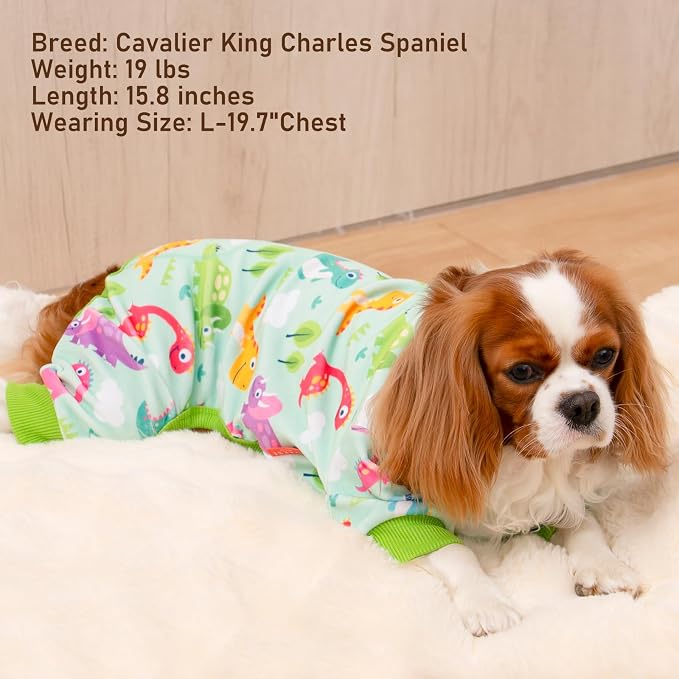 KYEESE Velvet Dog Pajamas for Small Dogs Soft Onesie Shirt, Dinosaursk | 4-Way Stretch, Lightweight & Breathable, Reduces Shedding, Gentle on Sensitive Skin, Recovery Support, Easy Potty Breaks