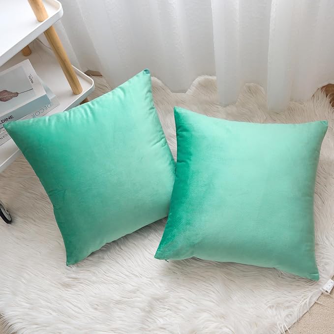 Velvet Decorative Throw Pillow Covers, Soft Square Cushion Case Home Decor for Living Room Couch Bed Sofa, Set of 2 Pack, Aqua Teal, 24x24 Inch