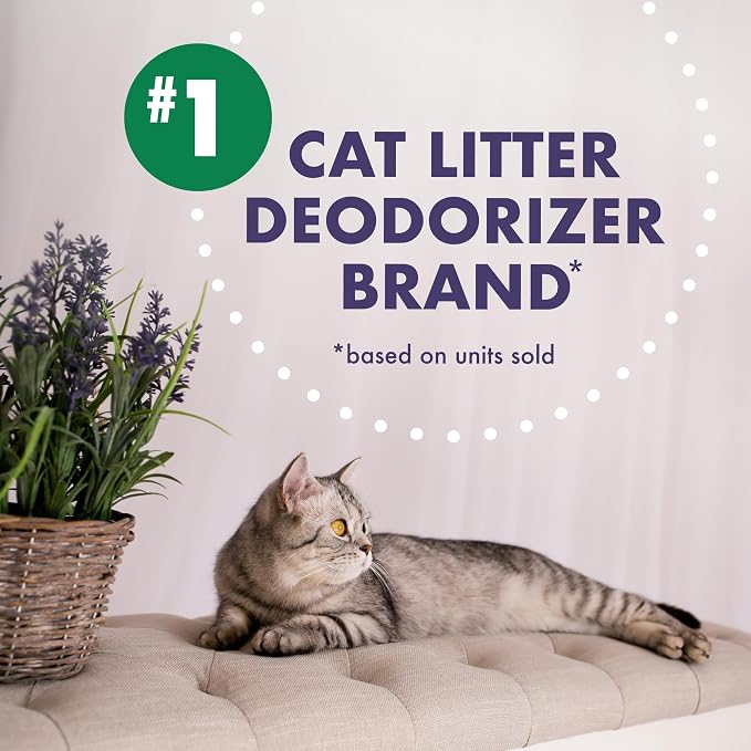 ARM & HAMMER Forever Fresh Cat Litter Deodorizer, 30 oz, 6-Pack